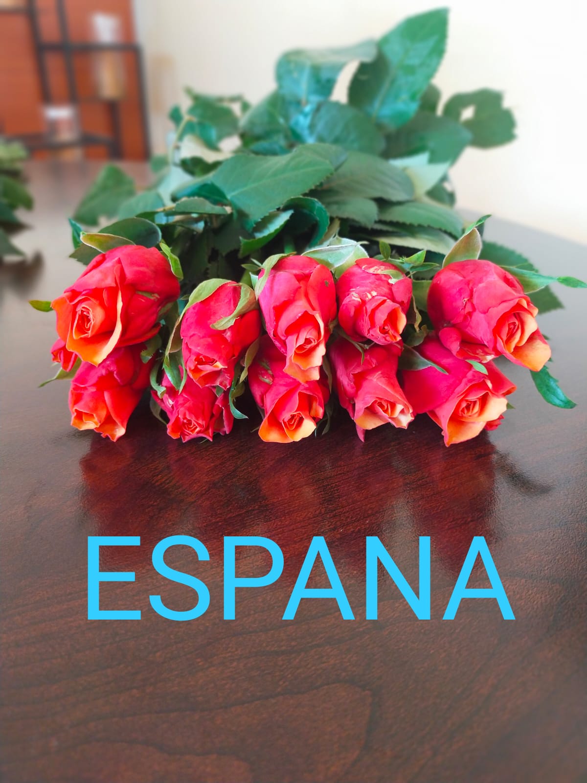espana