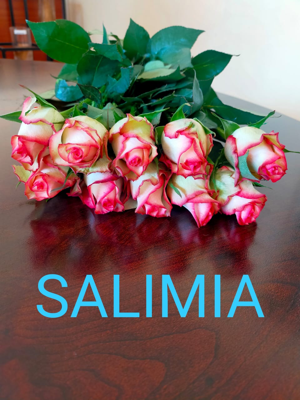 salimia